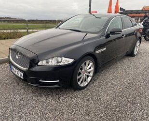 Jaguar XJ Gebrauchtwagen