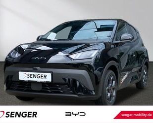 BYD DOLPHIN Gebrauchtwagen