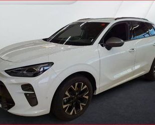 Cupra Terramar Gebrauchtwagen