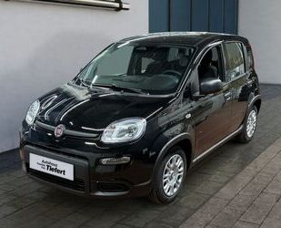 Fiat Panda Gebrauchtwagen