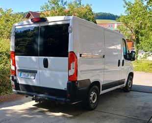 Fiat Ducato Gebrauchtwagen