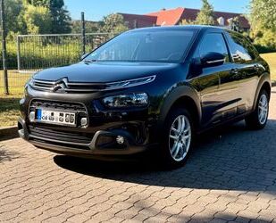Citroen C4 Cactus Gebrauchtwagen