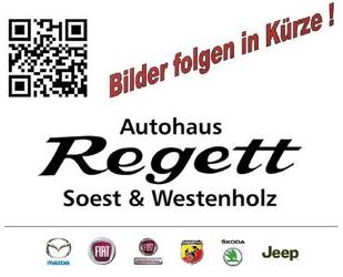 Fiat 500L Gebrauchtwagen