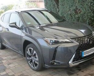 Lexus UX Gebrauchtwagen