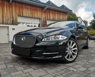 Jaguar XJ Gebrauchtwagen