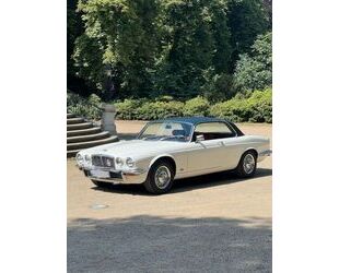 Jaguar XJ6 Gebrauchtwagen