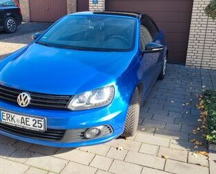 VW Eos Gebrauchtwagen