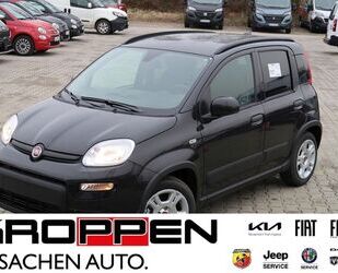 Fiat Panda Gebrauchtwagen