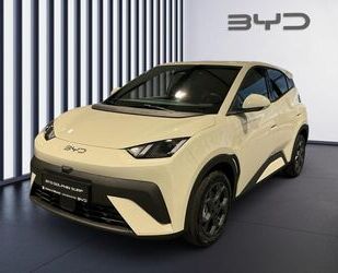 BYD DOLPHIN Gebrauchtwagen