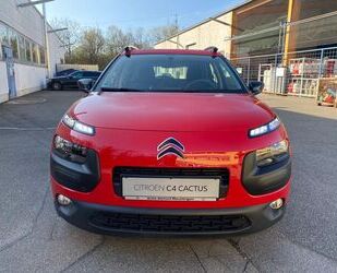 Citroen C4 Cactus Gebrauchtwagen