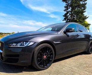 Jaguar XE Gebrauchtwagen