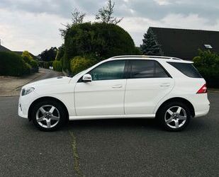 Mercedes-Benz ML 250 Gebrauchtwagen
