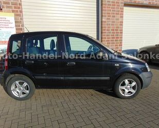 Fiat Panda Gebrauchtwagen