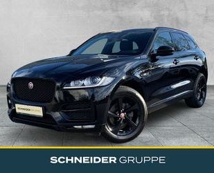 Jaguar F-Pace Gebrauchtwagen