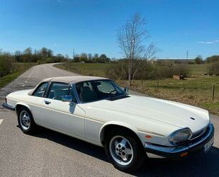 Jaguar XJS Gebrauchtwagen