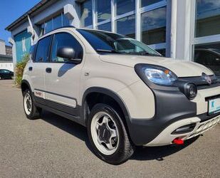 Fiat Panda Gebrauchtwagen