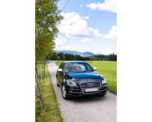Audi SQ5 Gebrauchtwagen