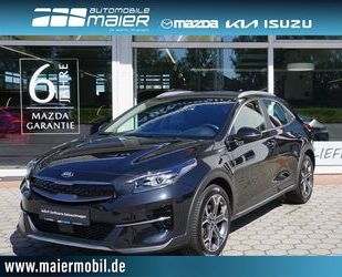 Kia XCeed Gebrauchtwagen
