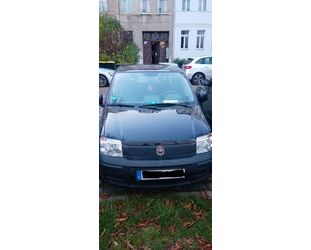 Fiat Panda Gebrauchtwagen