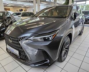 Lexus NX 450h Gebrauchtwagen