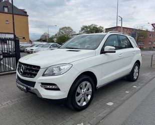 Mercedes-Benz ML 250 Gebrauchtwagen