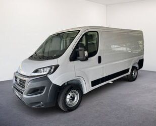 Fiat Ducato Gebrauchtwagen