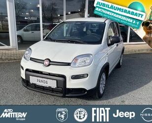 Fiat Panda Gebrauchtwagen