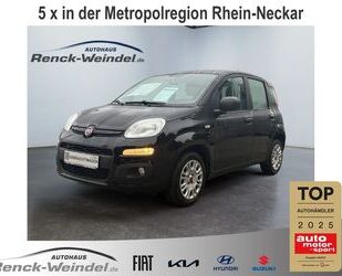 Fiat Panda Gebrauchtwagen