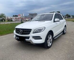Mercedes-Benz ML 500 Gebrauchtwagen