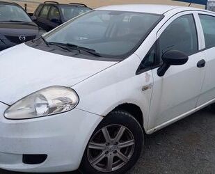 Fiat Punto Gebrauchtwagen
