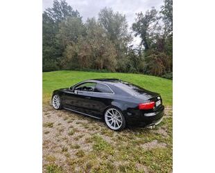 Audi S5 Gebrauchtwagen