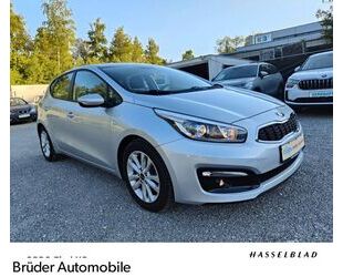 Kia ceed / Ceed Gebrauchtwagen