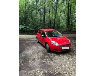 Fiat Punto Gebrauchtwagen