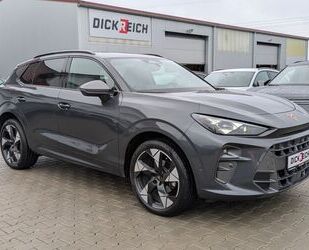 Cupra Terramar Gebrauchtwagen