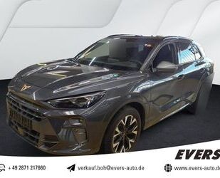 Cupra Terramar Gebrauchtwagen