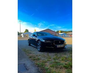 Jaguar XE Gebrauchtwagen