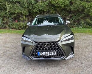 Lexus NX 450h Gebrauchtwagen