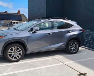 Lexus NX 300 Gebrauchtwagen
