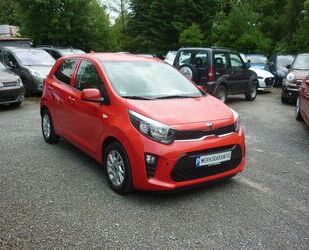 Kia Picanto Gebrauchtwagen