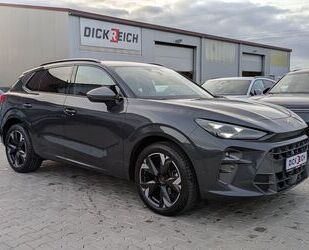 Cupra Terramar Gebrauchtwagen