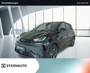 BYD DOLPHIN Gebrauchtwagen