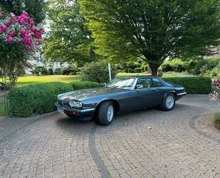 Jaguar XJS Gebrauchtwagen