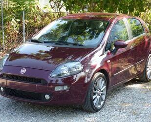 Fiat Punto Gebrauchtwagen