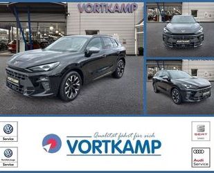 Cupra Terramar Gebrauchtwagen