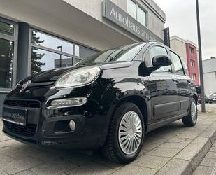 Fiat Panda Gebrauchtwagen
