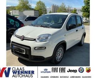 Fiat Panda Gebrauchtwagen