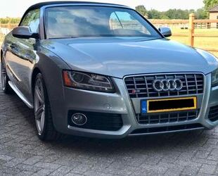 Audi S5 Gebrauchtwagen