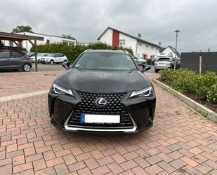 Lexus UX Gebrauchtwagen