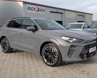 Cupra Terramar Gebrauchtwagen