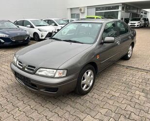 Nissan Primera Gebrauchtwagen
